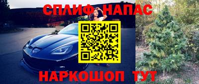 спайс Моздок