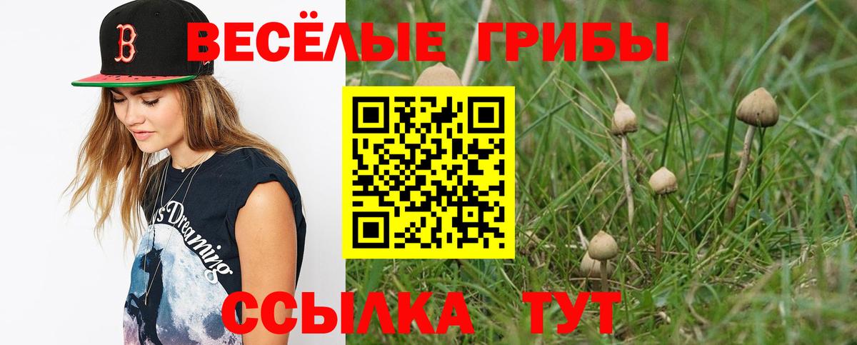 магазин продажи наркотиков  Псилоцибиновые грибы мицелий  Вход с VPN  Евпатория 